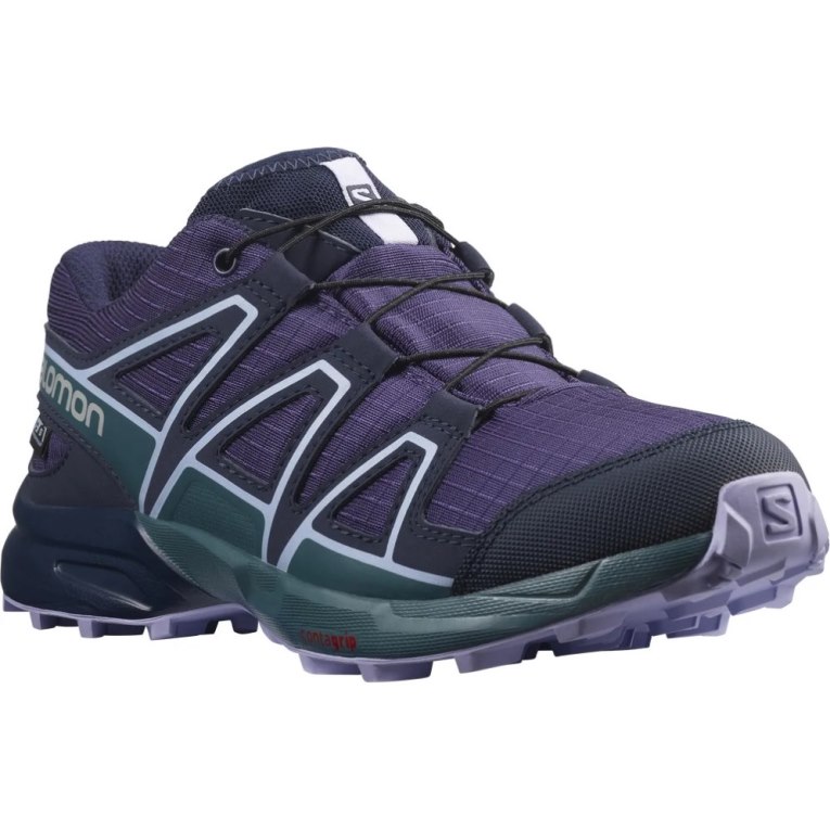 Salomon Speedcross CSWP Kids' Hiking Shoes Purple | CA 17V40